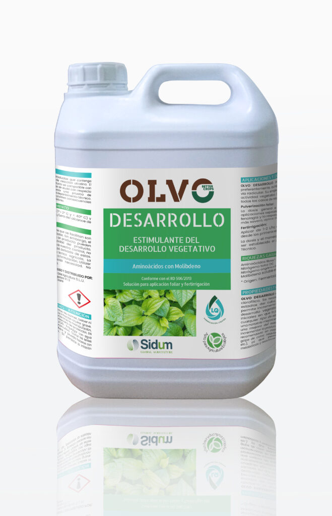 Desarrollo