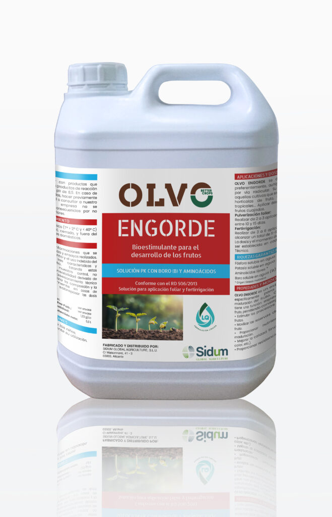 Engorde