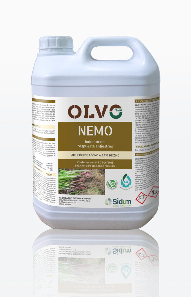 NEMO