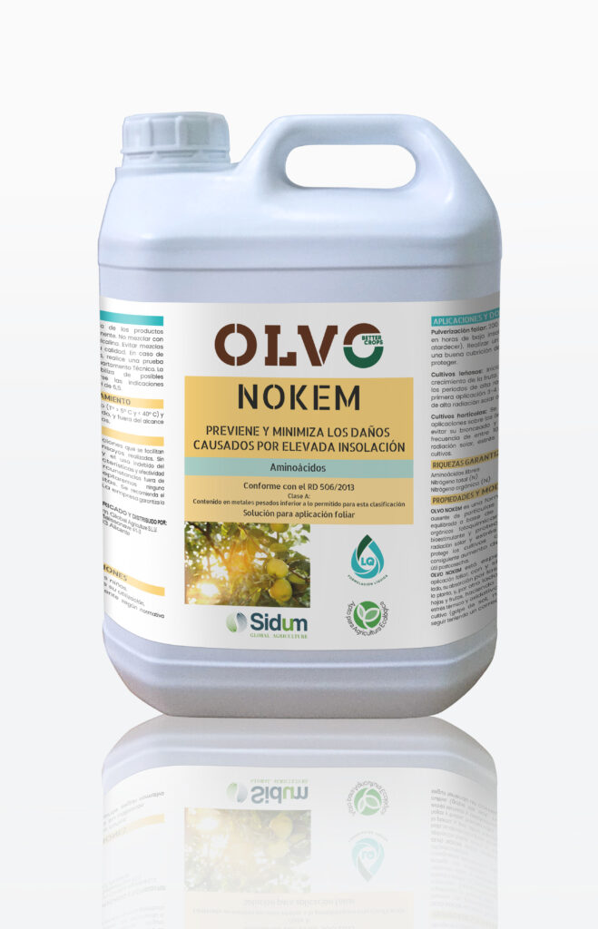NOKEM